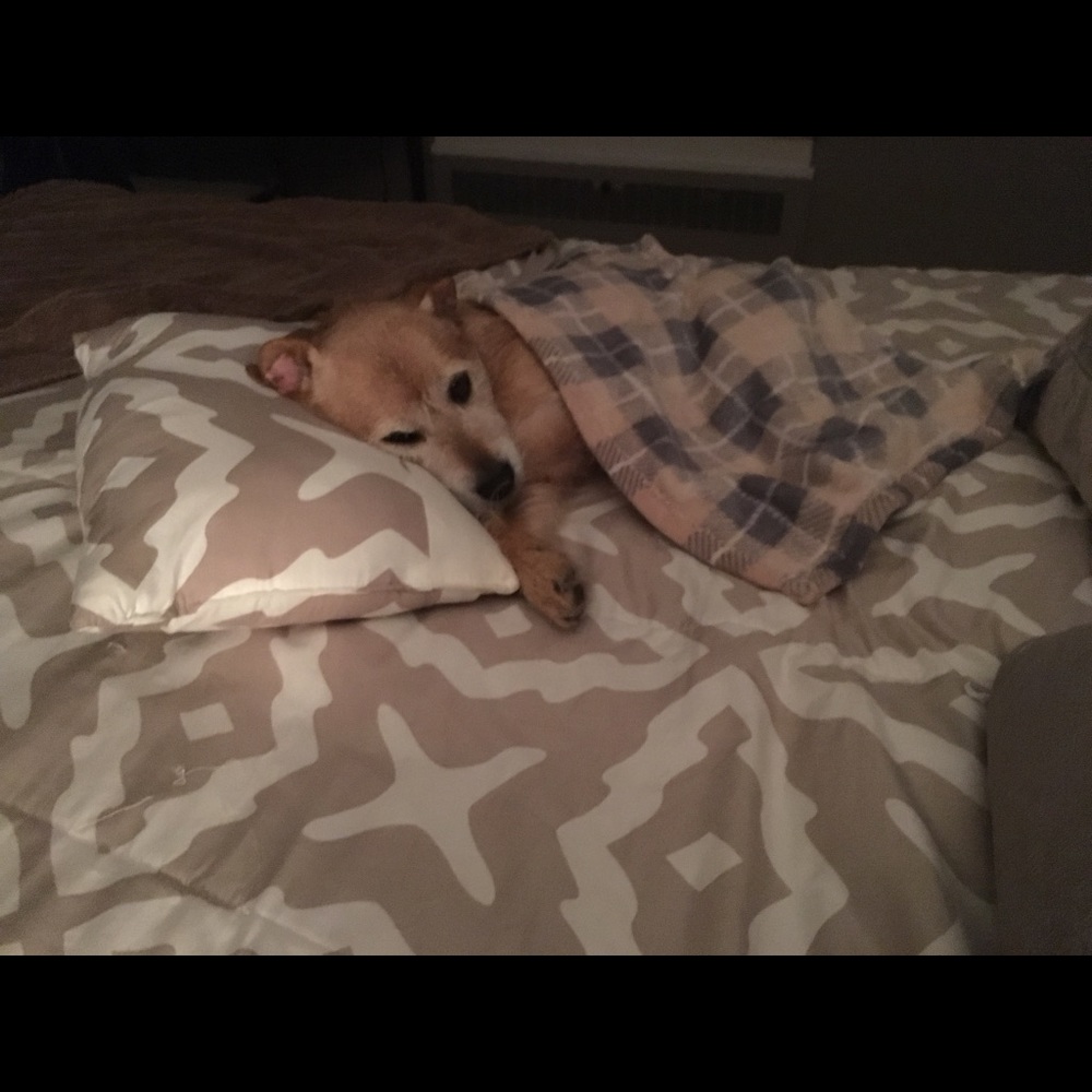 Meet your Posher, Jenn